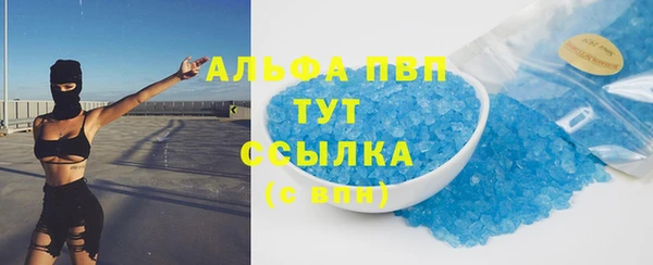 a pvp Пересвет