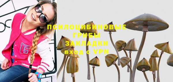 альфа пвп Нефтекумск