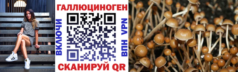 купить   Прохладный  Галлюциногенные грибы мицелий 